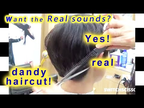 download lagu mp3 mp4 Dandy Haircut, download lagu Dandy Haircut gratis, unduh video klip Dandy Haircut