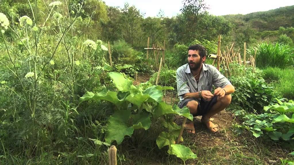 Experiência na Ecovila Viva