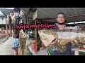 Auntie Pond Fishing Frenzy
