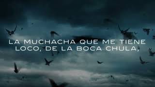 Cardi B - Bodega Baddie [Lyric Video]