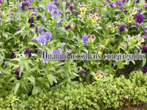 HARPA CRISTÃ - O ÁUREO DIA - 488