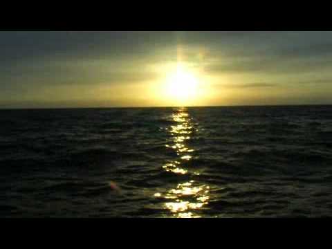 Meeresangeln in Norwegen 70 Grad Nord! Trailer zur DVD