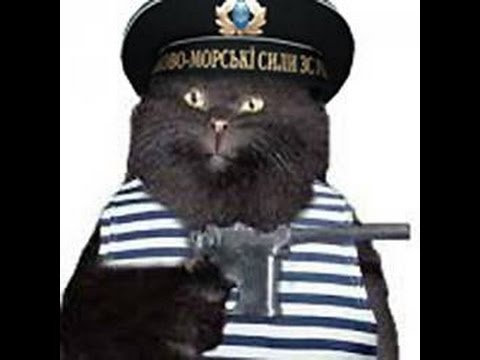 OGSE 0 6 9 3 Арбалет для Пличко, доктор Горбовский, 14 серия