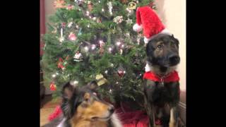 Silver Bells  Steve Martin, Paul Simon, Billy Joel