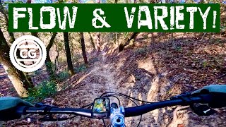 50 Miles of Flow: Chasing Trails at the Croom 50