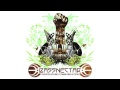 Bassnectar - Verbing the Noun