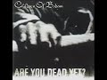Children Of Bodom - Next In Line (Standard Tuning)