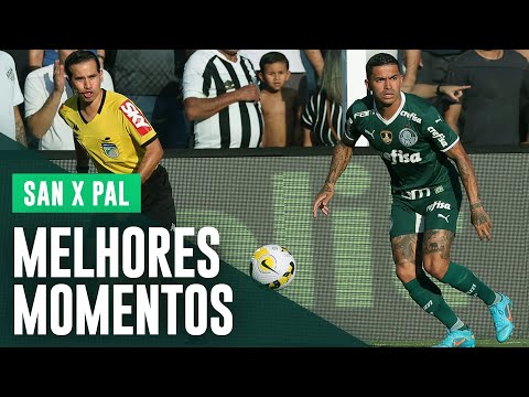 MELHORES MOMENTOS | SANTOS 0 X 1 PALMEIRAS | BRASILEIRO 2022