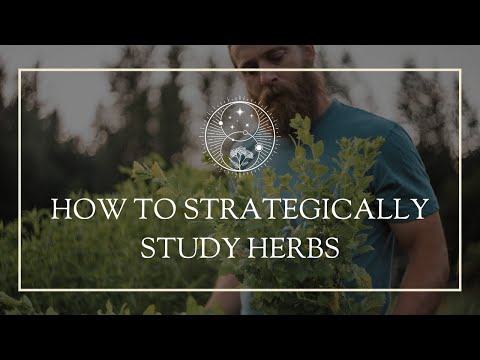 How to Strategically Study Herbs