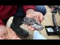 Part 4   How to clean a bike with Joe Barr