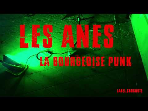La Bourgeoise Punk  -  Les Anes