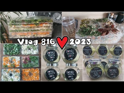 Domácí vegeta a zeleninová sůl