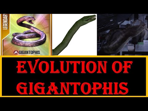 the evolution of gigantophis