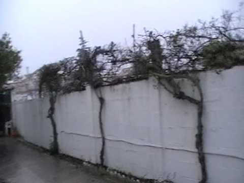 Nevando en Valencina 3