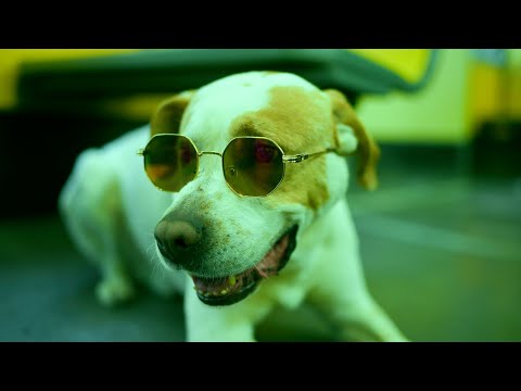 video frame placeholder