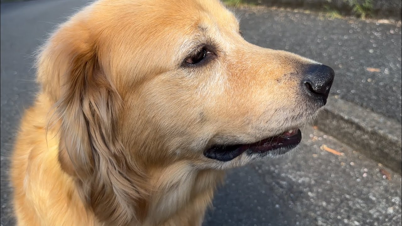 病気と一生付き合っていくことになりました