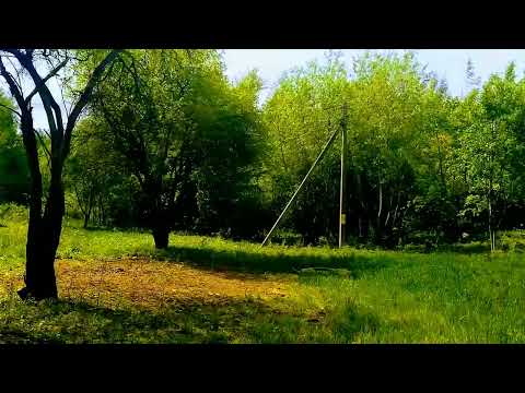 Купить дом, д. Бурмаки, 6 (Воложинский р-н, Минская область)