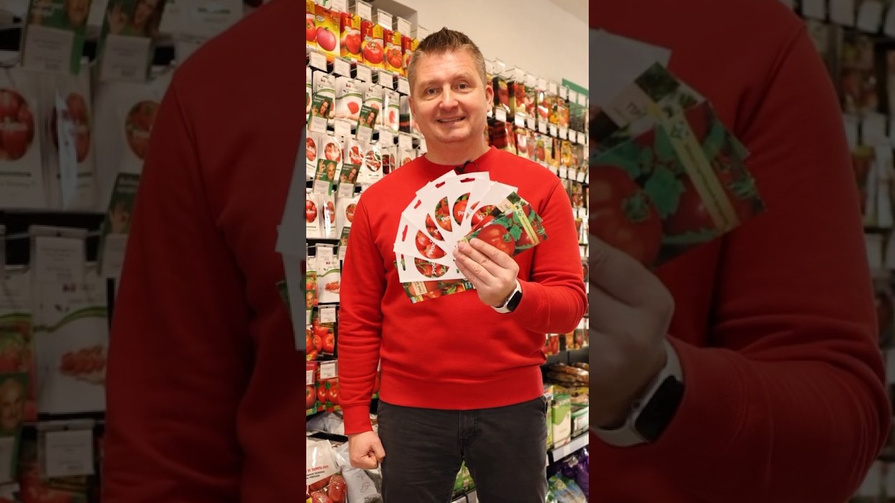 Если выбрать один сорт томата, то только этот! Очень вкусный и удивительно красивый!