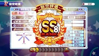 実況パワフルプロ野球 サクセススペシャル　世紀末北斗高校SS8投手