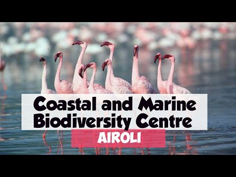 download lagu mp3 mp4 Coastal And Marine Biodiversity Centre Airoli, download lagu Coastal And Marine Biodiversity Centre Airoli gratis, unduh video klip Coastal And Marine Biodiversity Centre Airoli