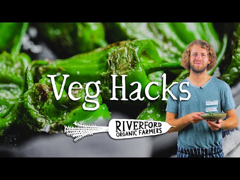 Padron Peppers | VEG HACKS