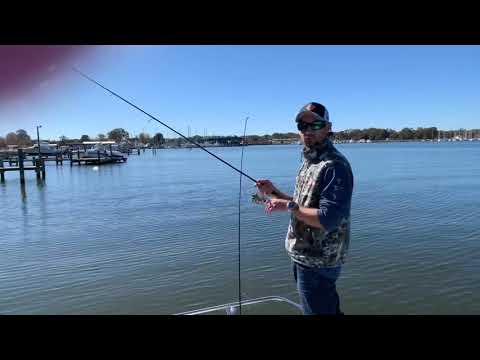 Quick preview of new Shimano tackle and Spiderwire line!