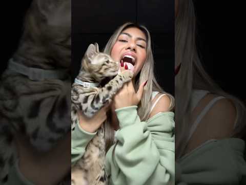 Like sugar on her tongue 👀💕OMG JASPER ate the whipped cream😭 #shorts #youtube #viral ￼