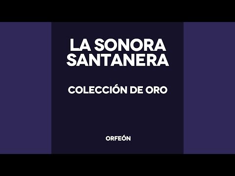 Noche de Farra - No me Aprietes