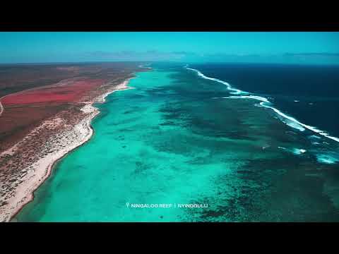 WTTC Global Summit 2024 Perth, Western Australia