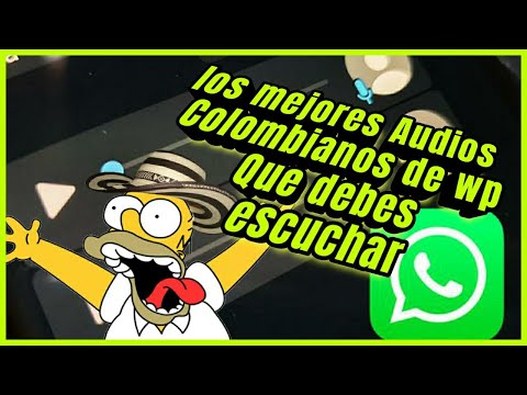 Los Audios De Whatsapp Colombianos que debes escuchar 🇨🇴 PARTE#4 #DeColombiaPalMundo