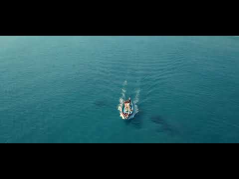 JUST ANOTHER DAY AT THE BEACH