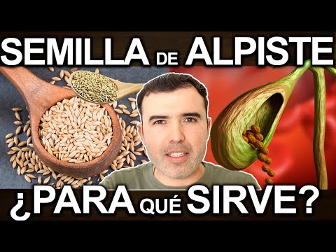 Canary Seed Milk: 5 Incredible Benefits! - How to Make and Take Canary Seed