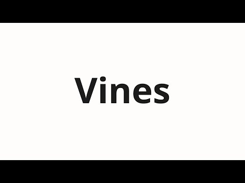How to pronounce Vines