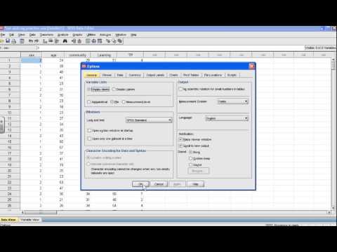 SPSS Tutorial: Bivariate Correlation