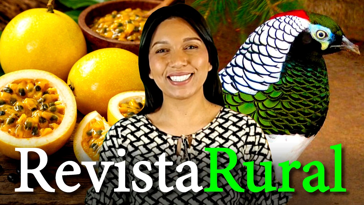 PROGRAMA REVISTA RURAL - 26/07/2026