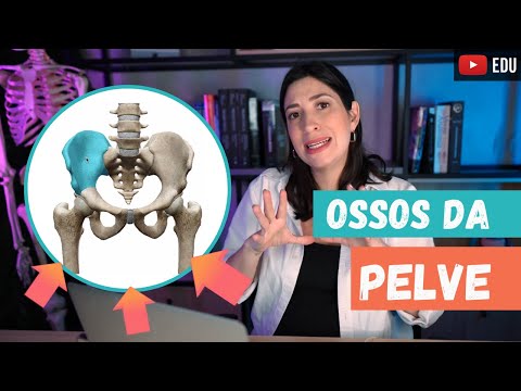 Pelvis Bones! Review!