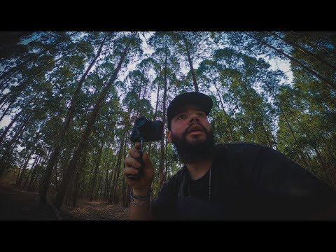 I WENT ALONE INTO THE HAUNTED FOREST *The legend of the woman who was mysteriously murdered*