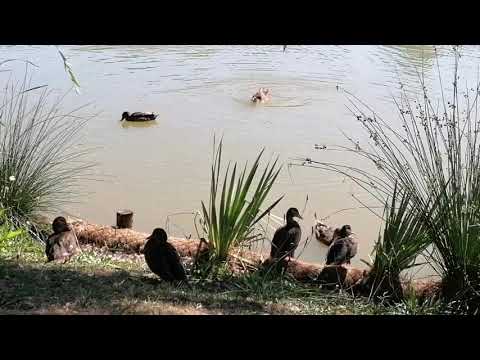Parque Verde do Bonito, o pulmão do Entroncamento