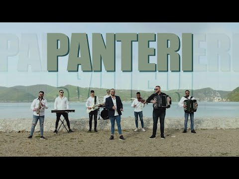 Orkestar MLADENA SPASOJEVICA & Djordje Stevic ”PANTERI” (Official Video)