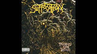 Suffocation - Torn Into Enthrallment