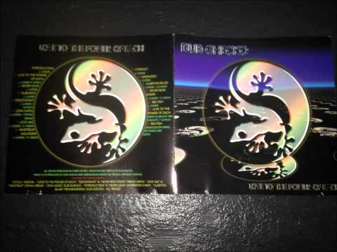 Dub Ghecko & Virginia - Love To The Power Of Each