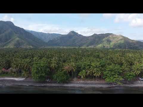 Dolphin Beach, Tejakula