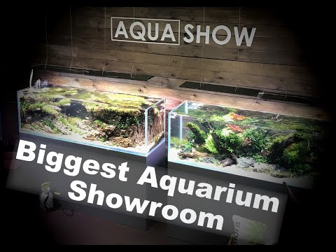 Aqua Show | The biggest aquarium showroom in Poland