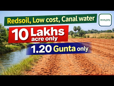 1.20 Gunta low cost Land for Sale in #JogulambaGadwal| ₹10 Lakhs Per Acre | Canal Water | Red Soil
