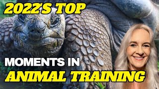 Top Animal Training Moments of 2022