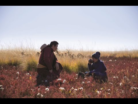 LES RACINES DU MONDE | bande-annonce VOSTF
