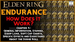 How Does Endurance Work? | Making A Build - Chapter 4 | Elden Ring