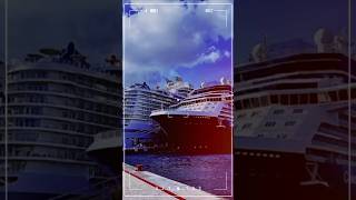 What our camera roll looks like #shorts #cruise