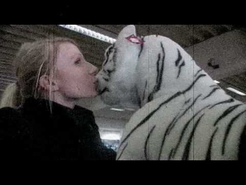 said the shark on tour vol. 2