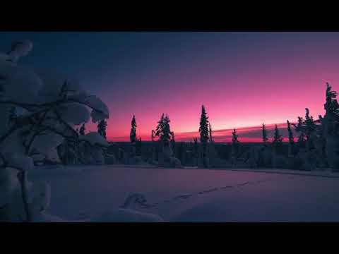 Silvi Vrait - Üks usub, teine ei